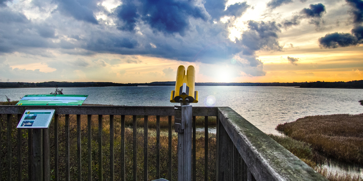Naturspaziergang: Die Aalbeek-Niederung blüht Bild Naturspaziergang: Die Aalbeek-Niederung blüht