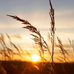  Kulturkreis und Volkshochschule Timmendorfer Strand Schleswig Holstein