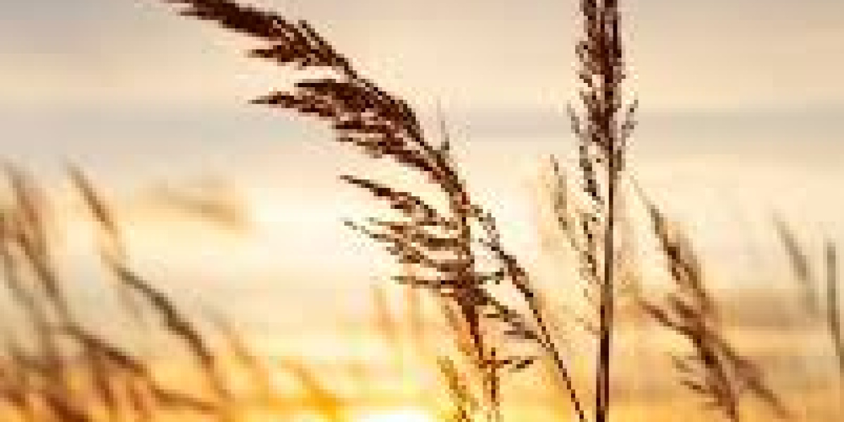 Bild Malen mit Pastellkreide „Motiv nach Wahl“