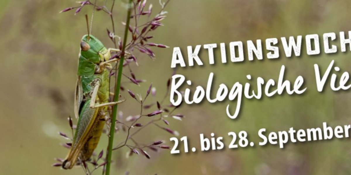 Bild Naturspaziergang: Artenreiche Aalbeek-Niederung – Vielfalt der Flora und Fauna