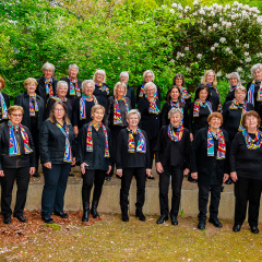  Kulturkreis und Volkshochschule Timmendorfer Strand Schleswig Holstein