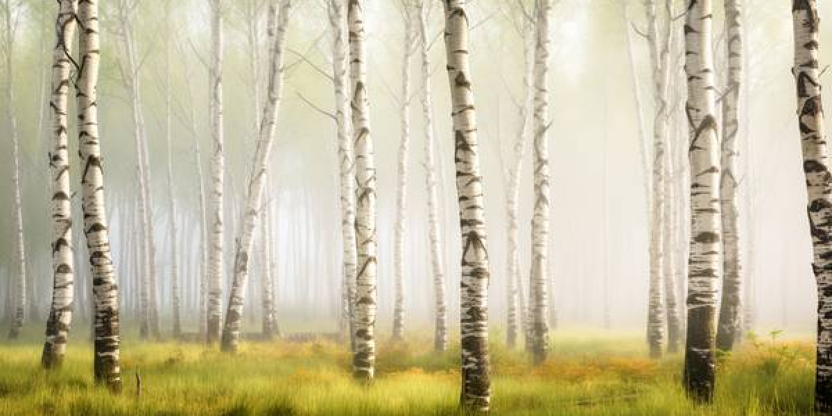 Bild Pastellkreide „Birkenwald im Nebel“