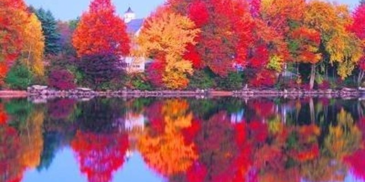 Pastellkreide„Indian Summer“ Bild Pastellkreide„Indian Summer“